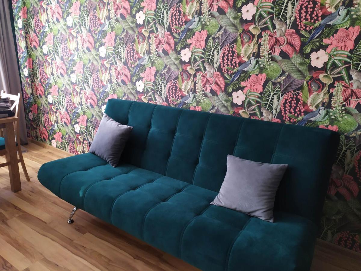 Apartament Pod Zlota Malpa Glucholazy Zewnętrze zdjęcie