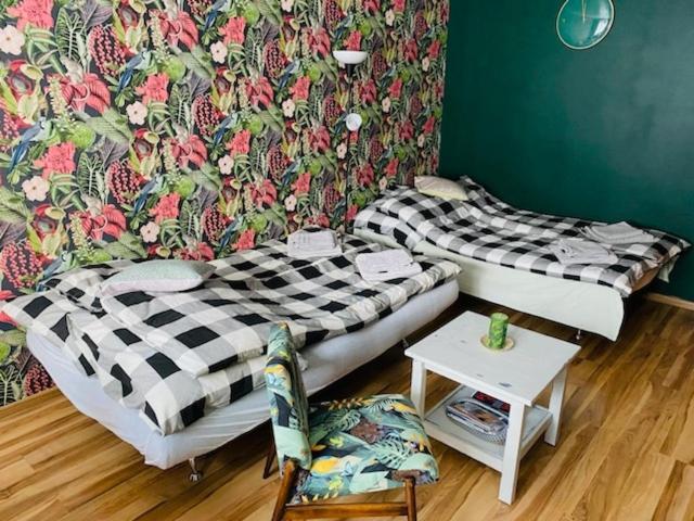 Apartament Pod Zlota Malpa Glucholazy Zewnętrze zdjęcie